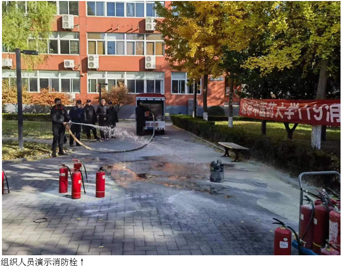 1699601438275054295.png 1699601438275054295.png