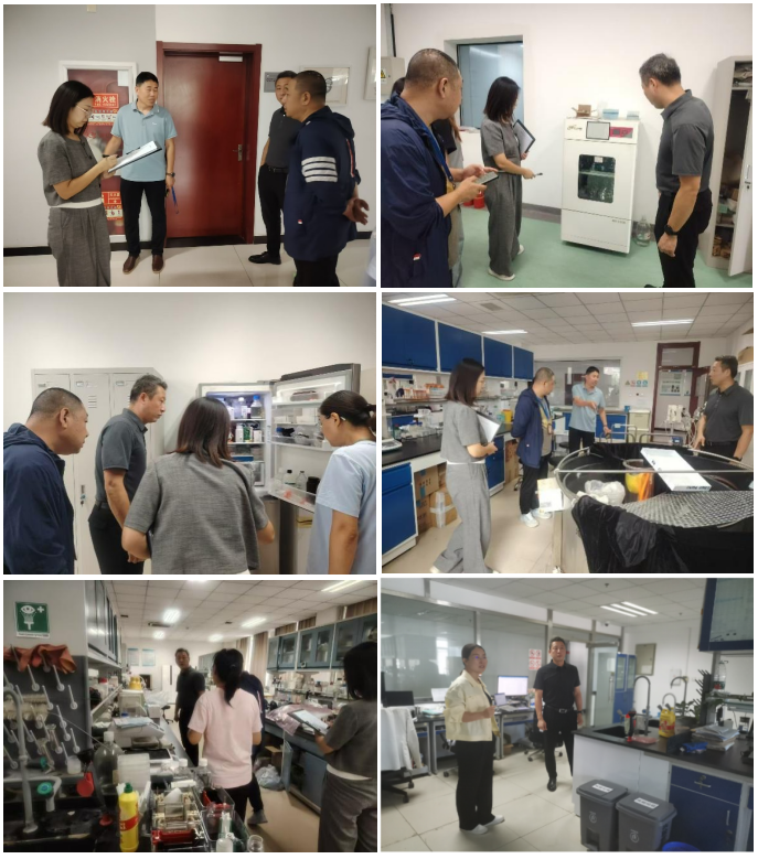 1725704088476046653.png 1725704088476046653.png